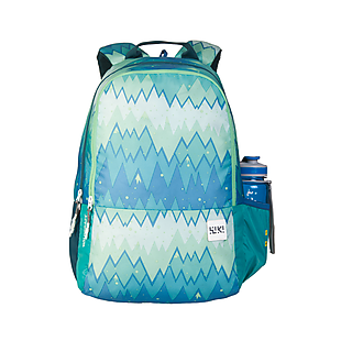 wildcraft green backpack
